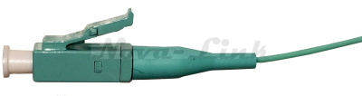 LCm53